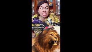 Video lucu tante lala saat live mendapat singa