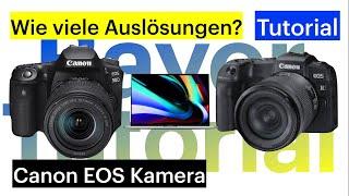 Canon Kamera (z.B. Canon EOS R, Canon EOS 90D, ...) Auslösungen auslesen Tutorial