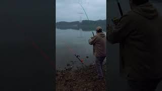 This Spinning Rig Catches Catfish #short #3minuteshorts