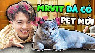 Mr Vịt Nhận Nuôi Thú Cưng Siêu Quậy Làm Nhân Viên Mới | MrVit Vlog #17