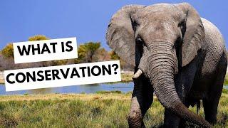 What is conservation?