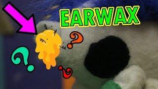 Why Do We Have Earwax? | Science for Kids