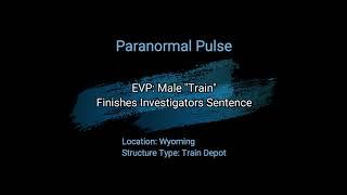 Paranormal Pulse - Finishes the Investigators Question