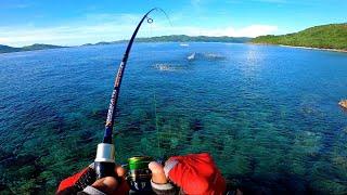 Minnow, Soft bait, Micro popperKung Saan Mapapakagat Ang isda