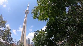 The tallest tower in North America dwarfs the Seattle Space Needle - KING 5 Evening