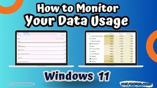 How to Monitor Your Data Usage on Windows 11 [Tutorial] #doit_mostafa