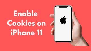 iPhone 11/ Pro Max : How to Enable Cookies on iPhone 11