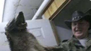 One Angry Raccoon! | Call of the Wildman