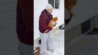 Katzen im Kanadischen Winter