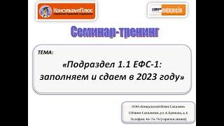 Подраздел 1.1 ЕФС-1: заполняем и сдаем в 2023 году