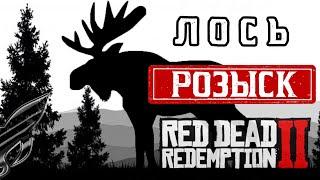 | Dead Redemption 2 - в поисках редкого лося с рогами | Где найти Лося с Рогами в Rdr2 ?