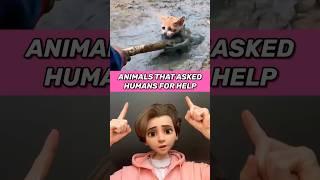 ANIMALS THAT ASKED PEOPLE FOR HELP 4K  #caughtoncamera #animals #shorts