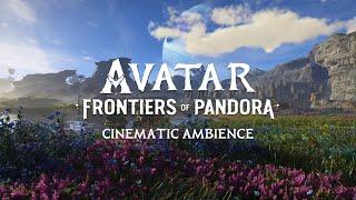 Avatar  I  Cinematic Ambience  I  4K
