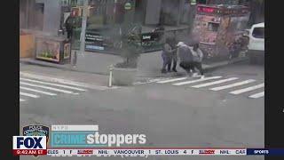 Suspect wanted in vicious assault on elderly man in broad daylight | LiveNOW from FOX