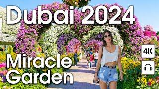 Dubai  Amazing Miracle Garden [ 4K ] Walking Tour