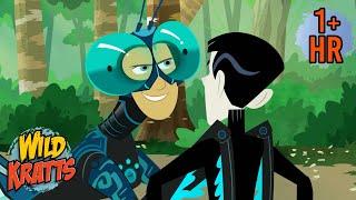 Every Creature Rescue Season 4 | Protecting The Earth's Wildlife | New Compilation | Wild Kratts