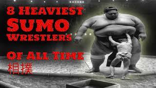 HEAVIEST sumo wrestlers of all time (top 8 - 2022)