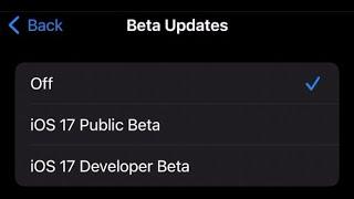 How to Remove iOS 17 Beta From Your iPhone and iPad