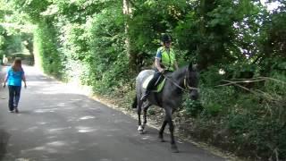 Longfield, Kent, UK