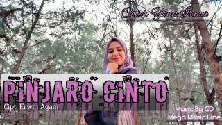 Yona Irma - Pinjaro Cinto | Cover | Karya Erwin Agam | Remix minang terbaru 2020