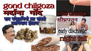 gond chilgoze ke fayde |gond chilgoza|  mardana gond| शीघ्रपतन (Shighrapatan)  night fall Problem