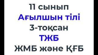 11 сынып Ағылшын тілі 3 тоқсан ТЖБ ЖМБ және ҚҒБ