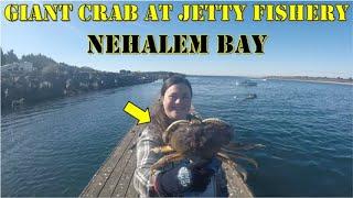 Giant Dungeness Crab on Nehalem Bay at the Jetty Fishery! I Rockaway Beach, Oregon I Dock Crabbing