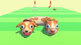 MAX LEVEL in Cats & Dogs 3D (Levels 1-50)