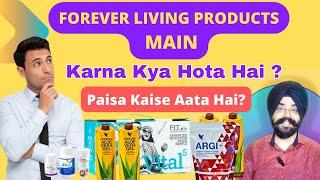 Forever Living Products Main Karna Kya Hota Hai? How To Earn With FLP India? FLP Company Profile