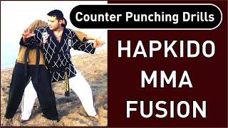 HAPKIDO MMA FUSION. The synthesis of Hapkido and MMA for a street-focused martial art