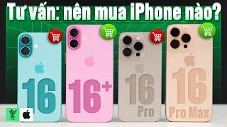 Nên chọn iPhone 16/16 Plus hay phải cố lên 16 Pro/16 Pro Max?