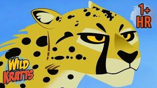 Big Cats | Lions, Cheetahs, Leopards with Wild Kratts | 9 Story Kids