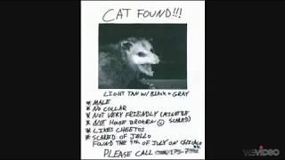 "Cat Found" (Opossum) Flyer Voicemail