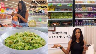 GROCERY SHOPPING VLOG - How Much I Spend On Food Monthly, Where I Shop, What I Buy, Meal Prep, ETC.