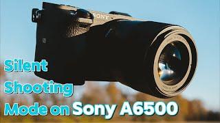 Sony A6500: How to Enable Silent Shooting Mode