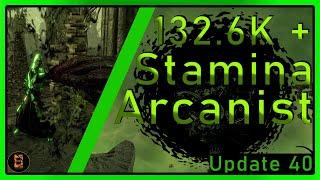 Stamina Arcanist Comprehensive Guide | 132.6K + | Update 40