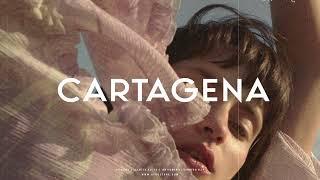 Afrobeat x Latino Type Beat - "Cartagena"