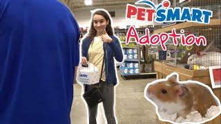 GETTING MY NEW HAMSTER! PETSMART ADOPTION!