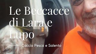 Le beccacce di Lara e Lupo - Caccia alla Beccaccia 2024