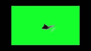 Miraculous plagg green screen | @Homejest