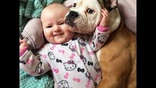 FUNNY moments of kids Playing with Dogs..