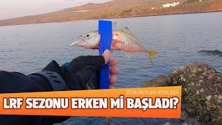 SEZON ERKEN Mİ BAŞLADI? TAKOZ İSTAVRİTLER KIYILADI | HANFISH SANDEEL SİLİKON