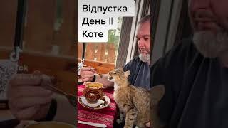 #котенок #cat #cats #catsoftiktok #animals #animal #world #live #like #freefire #funny #food