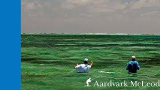 7 Degrees South, fly fishing Alphonse Island