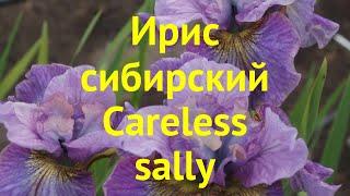 Ирис сибирский Кареллес сали. Краткий обзор, описание характеристик iris sibirica Careless sally