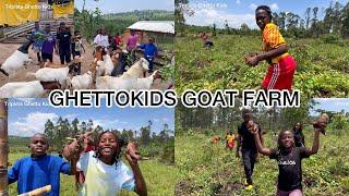 Ghetto Kids - Spend a Day At Their Farm| Learn To Harvest | Goat Farming | Dance