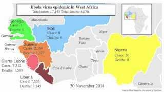 Epidemics, Outbreaks and Pandemics