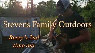 Reesy's 2nd time out..Stevens Family Outdoors  Beagles & Bunnies