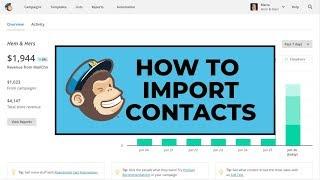 How To create AUDIENCE In Mailchimp!