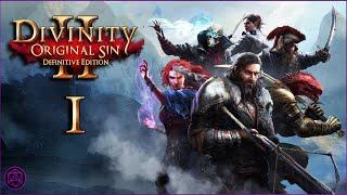 Witch & Paladin Feenex Mod Run | Divinity Original Sin 2 | P1